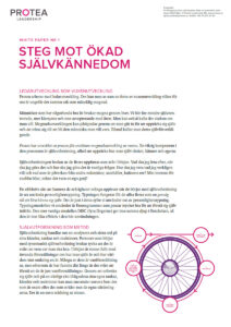 Protea whitepaper 1: Steg mot ökad självkännedom